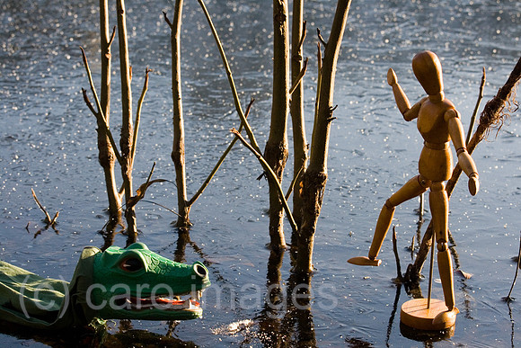 0GB071223D037CARO.JPG