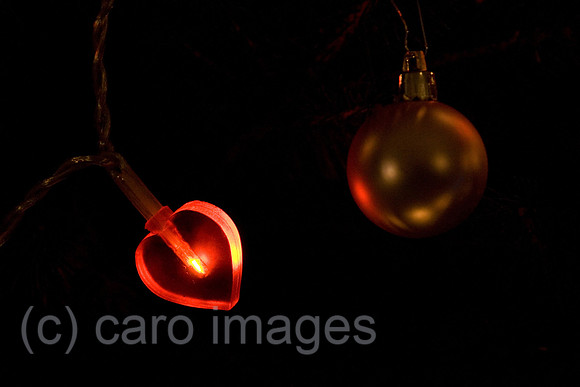 0GB071225D004CARO.JPG
