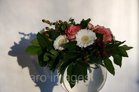 0GB071215D009CARO.JPG