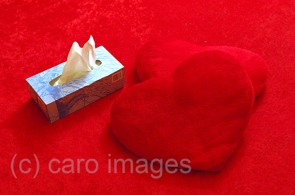 0MW060109D011CARO.JPG