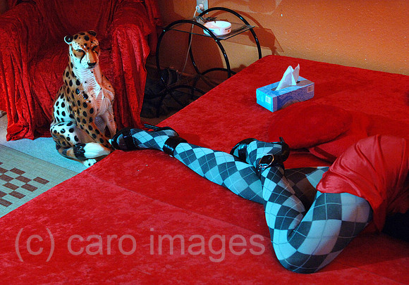 0MW060109D003CARO.JPG
