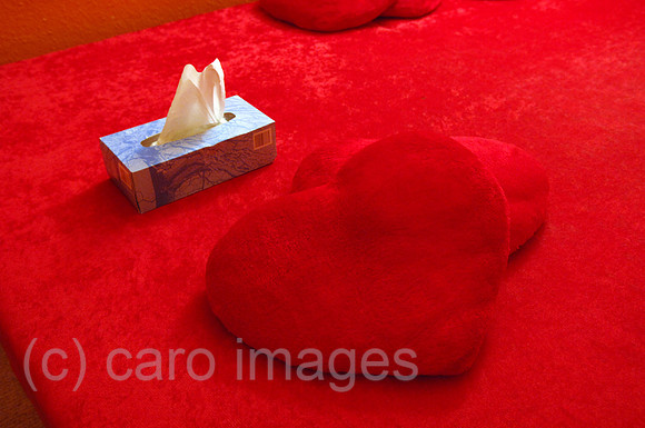 0MW060109D012CARO.JPG