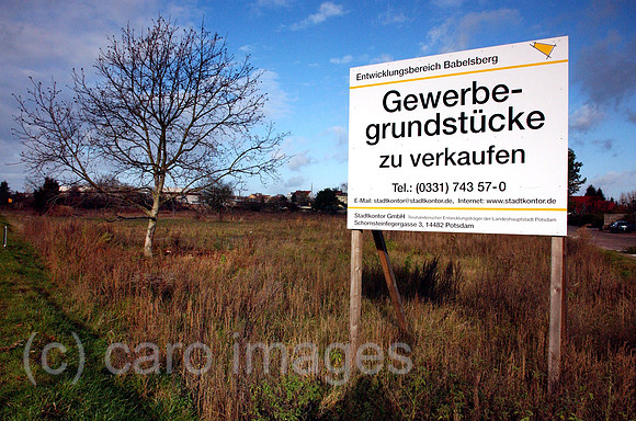 0MW041116D007CARO.JPG