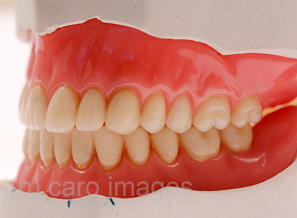 0MW050216D016CARO.JPG