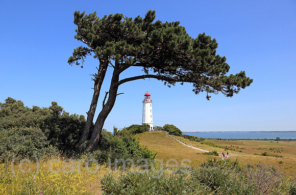 00S130712D819CAROE.JPG