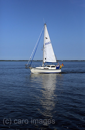 00S130712D809CAROE.JPG