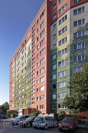 00P130906D016CAROE.JPG