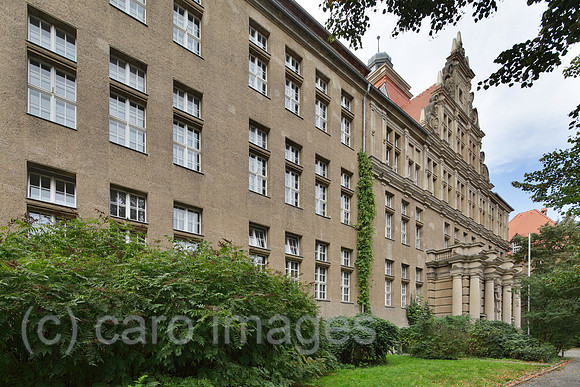 00P130917D075CAROE.JPG