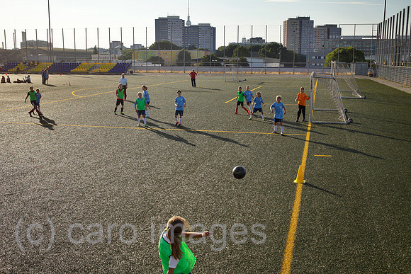 00P130816D171CAROE.JPG