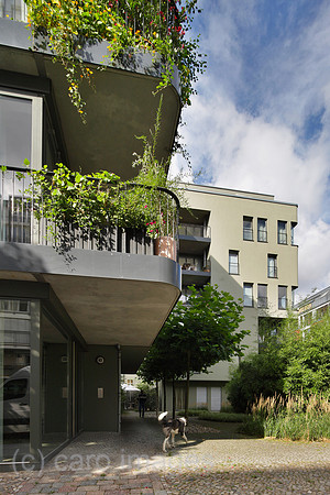 00P130813D118CAROE.JPG