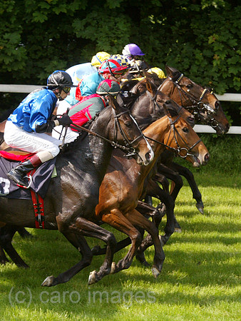 00S040516D003CARO.JPG Copy