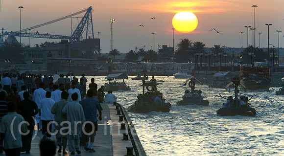 00S040326D038CARO.JPG