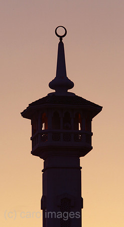 00S040326D033CARO.JPG