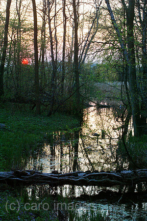 00S040416D005CARO.JPG