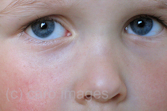 00S040501D002CARO.JPG