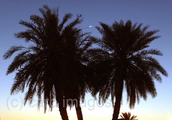 00S040323D024CARO.JPG