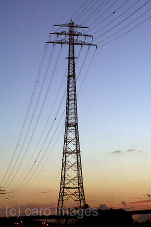 00S040628D027CARO.JPG