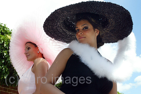 00S040616D003CARO.JPG