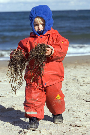 00S041011D011CARO.JPG