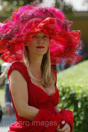 00S040530D005CARO.JPG