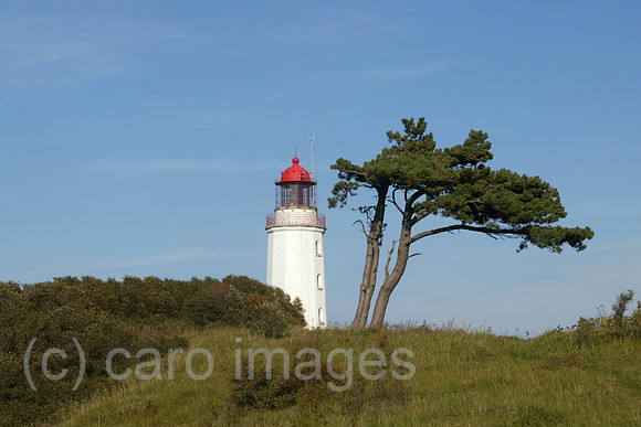 00S040915D007CARO.JPG