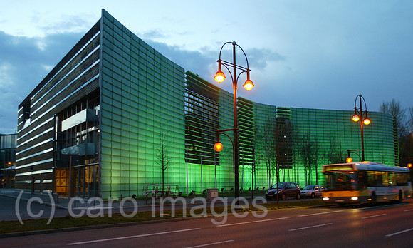00S040319D007CARO.JPG