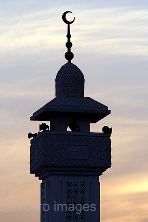 00S040328D016CARO.JPG