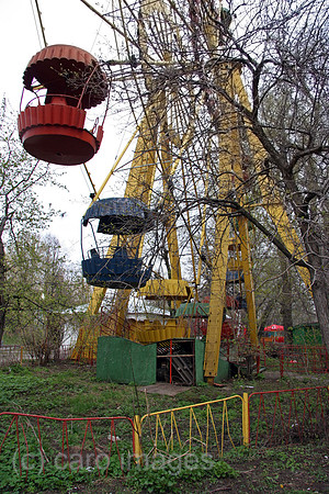 00P050503D062CARO.JPG