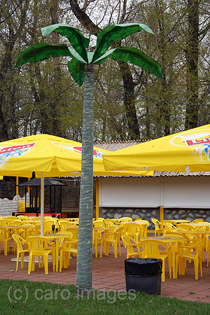 00P050503D068CARO.JPG