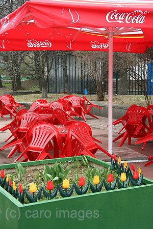 00P050503D066CARO.JPG