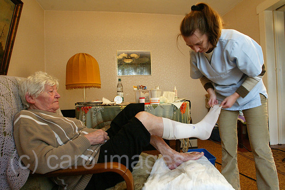 00S031113D026CARO.JPG
