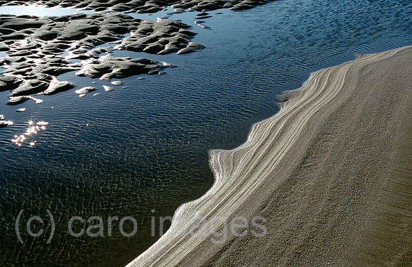 00R101306CARO.JPG