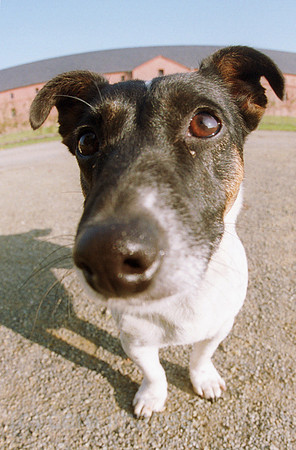 00S08028CARO.JPG