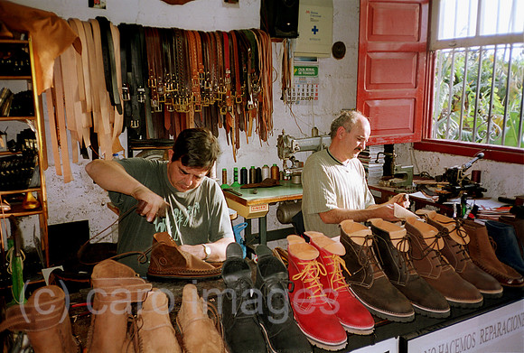 00S18502CARO.JPG