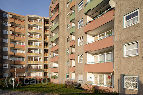 00P091207D100CAROE.JPG