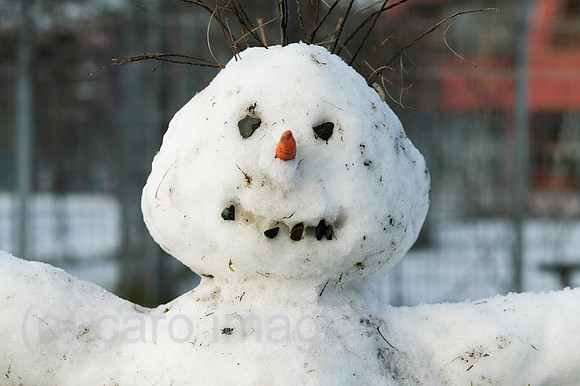 00P091223D003CAROE.JPG