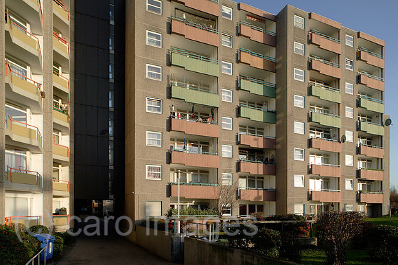 00P091207D101CAROE.JPG