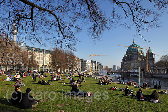 00P140313D235CAROE.JPG