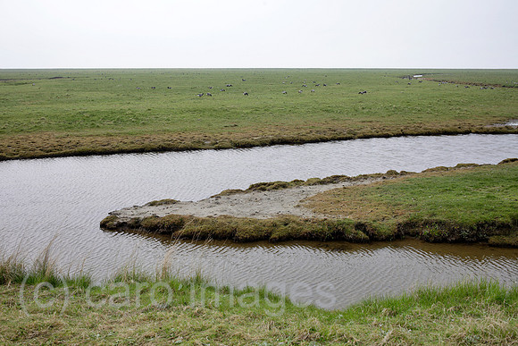 00P140423D066CAROE.JPG