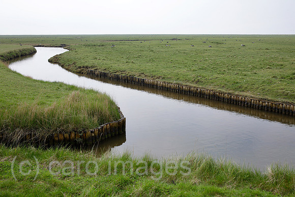 00P140423D068CAROE.JPG