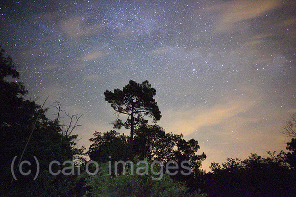 00P140718D149CAROE.JPG