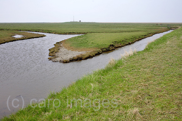 00P140423D067CAROE.JPG