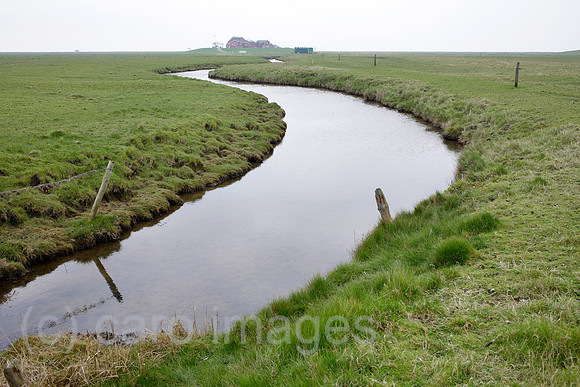 00P140423D060CAROE.JPG