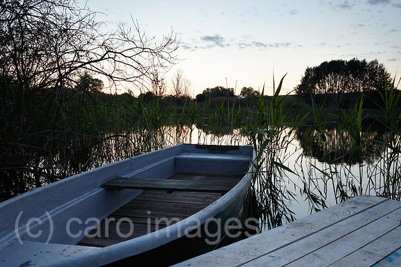 00P140530D168CAROE.JPG