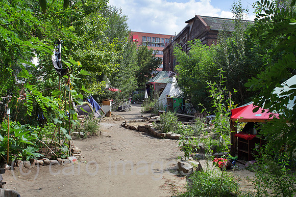 00P140801D220CAROE.JPG