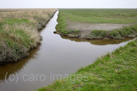 00P140423D061CAROE.JPG