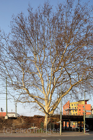 00P140329D036CAROE.JPG