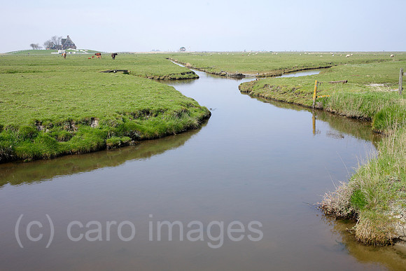 00P140423D075CAROE.JPG