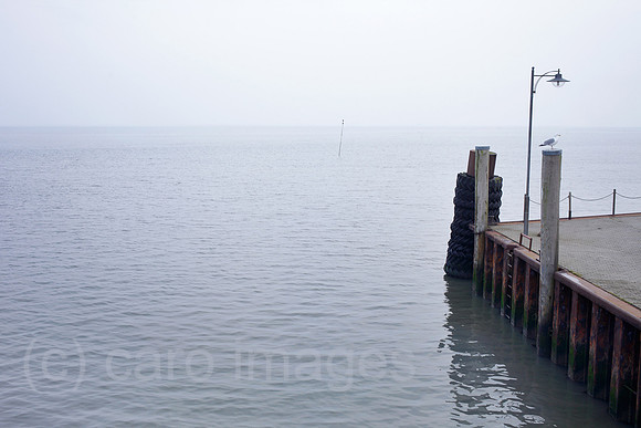 00P140423D048CAROE.JPG