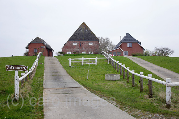 00P140423D062CAROE.JPG